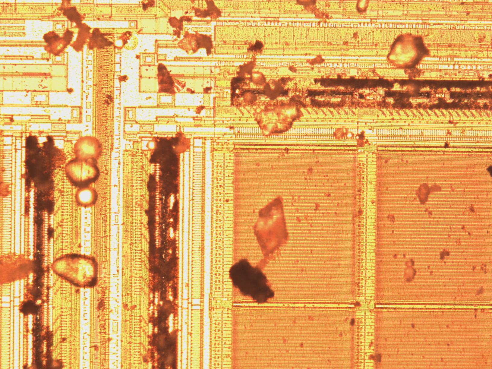 sample_mit20x.jpg sample_mit20x.jpg