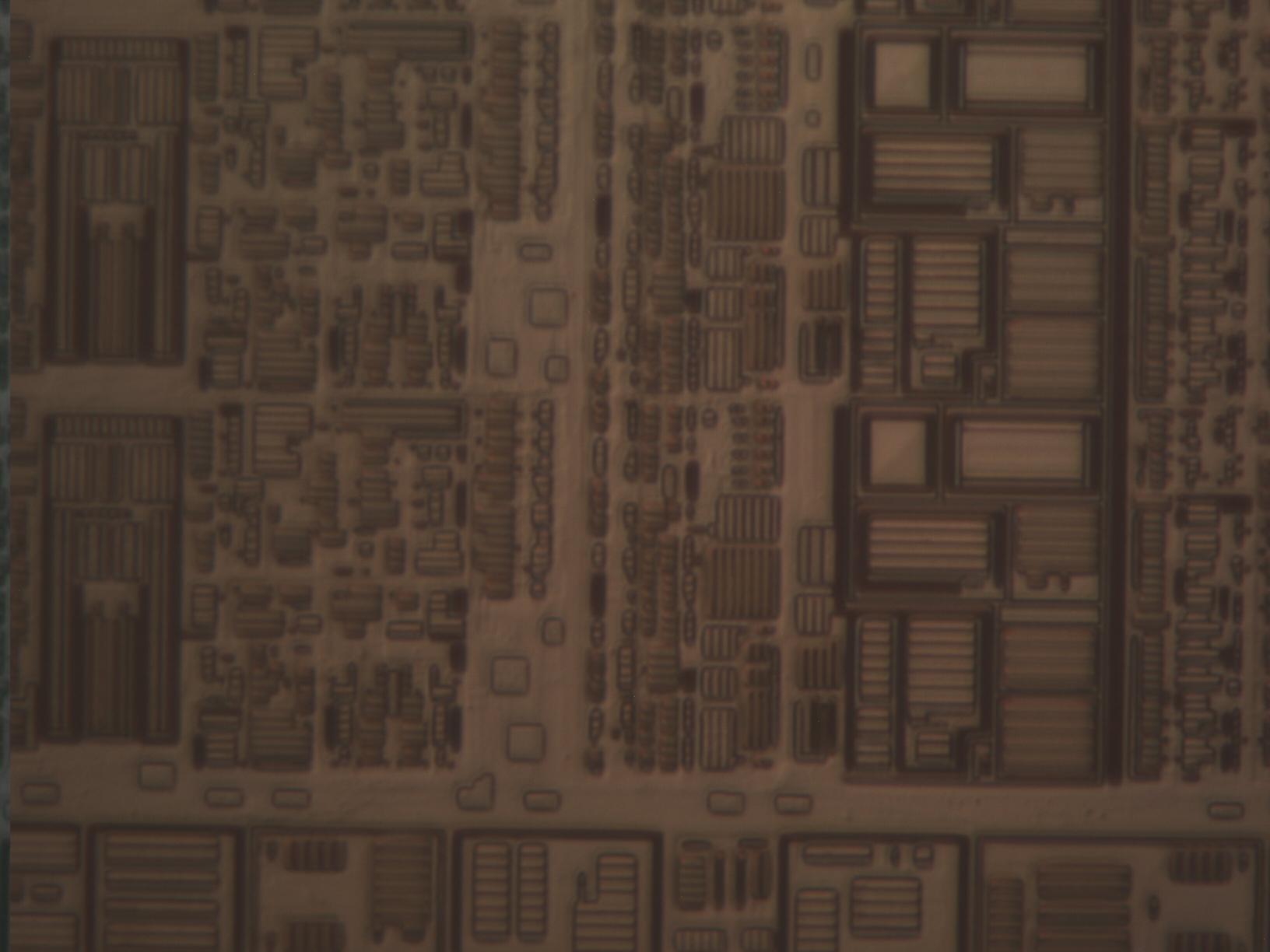 fb2_macrocells_mit100x.jpg fb2_macrocells_mit100x.jpg