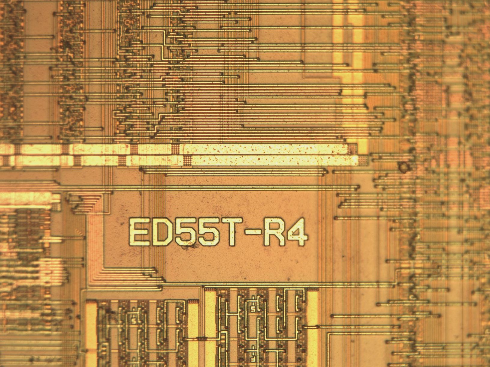 logo_mit20x.jpg logo_mit20x.jpg