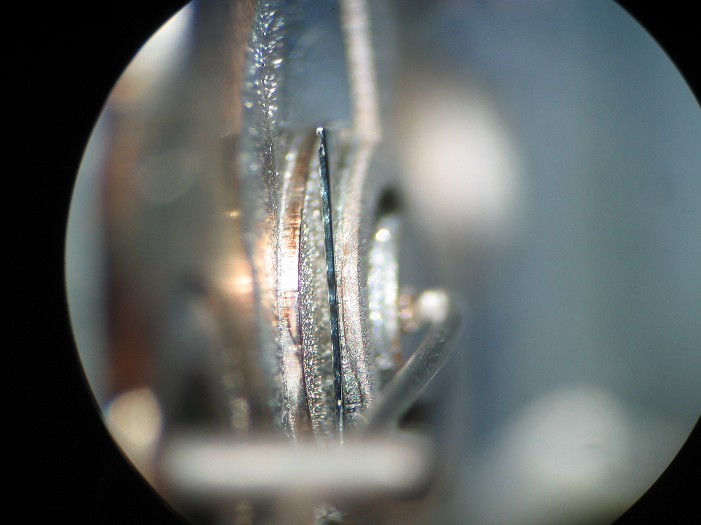 side_1.jpg side_1.jpg