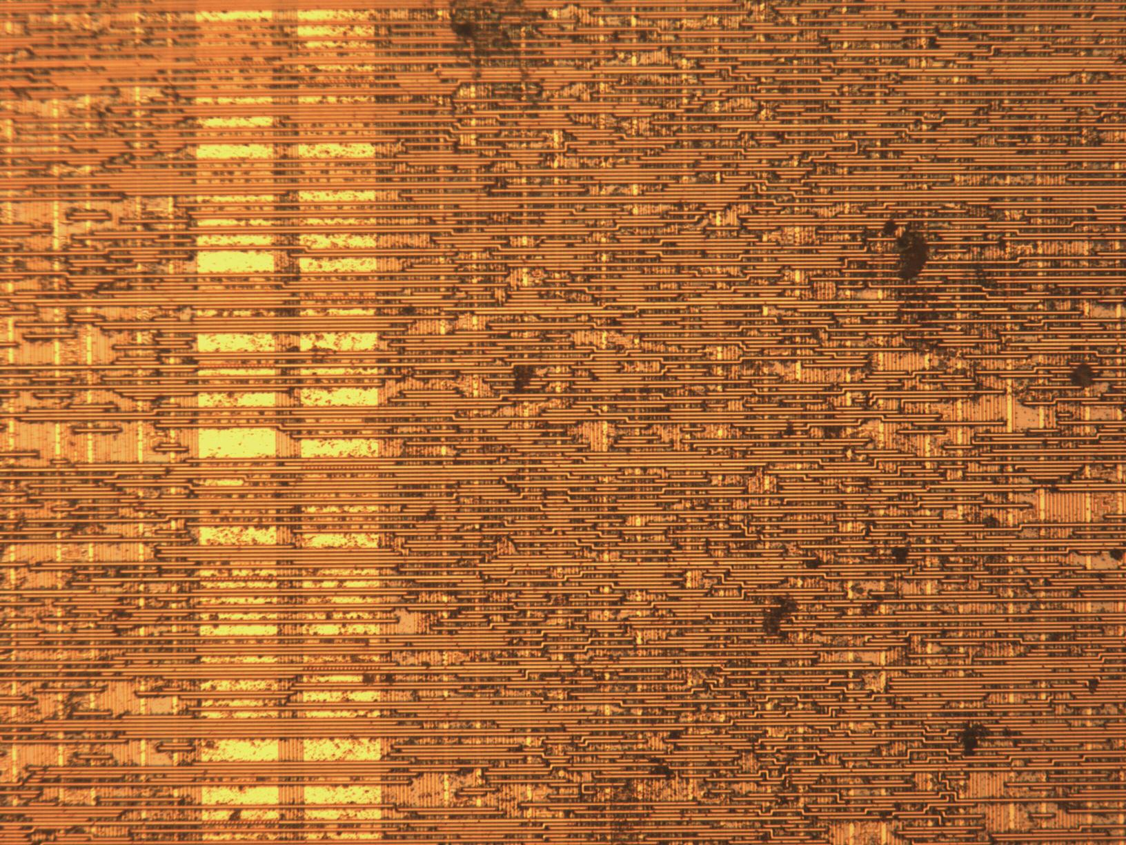 sample_mit20x.jpg sample_mit20x.jpg