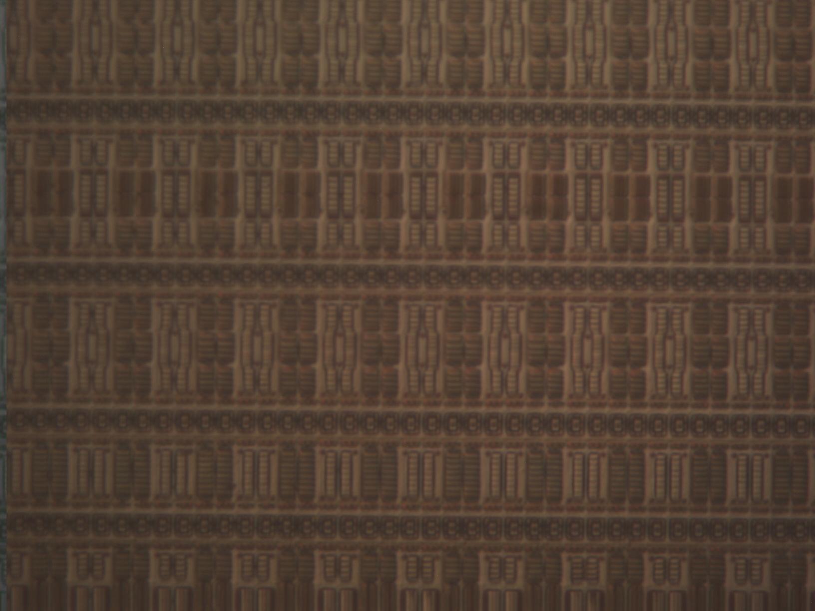 mit100x_0011.jpg mit100x_0011.jpg