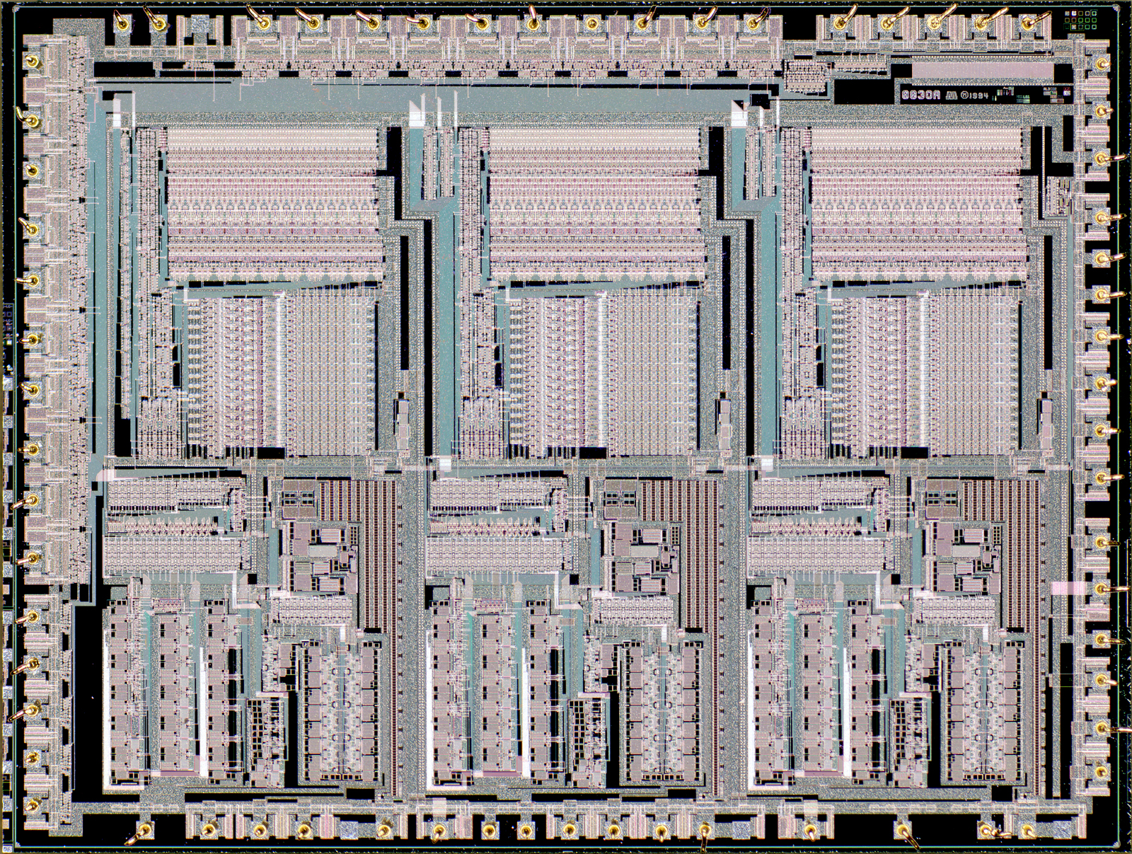 ASCII   Kolor stitching | 17 pictures | Size: 7345 x 9580 | Lens: Standard |... ASCII   Kolor stitching | 17 pictures | Size: 7345 x 9580 | Lens: Standard |...