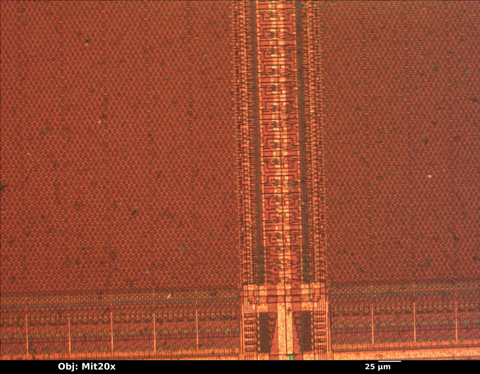 sample_mit20x.jpg sample_mit20x.jpg