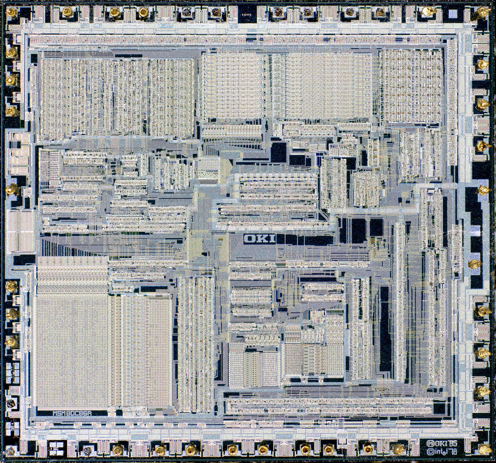 ASCII   Kolor stitching | 11 pictures | Size: 7457 x 8086 | Lens: Standard |... ASCII   Kolor stitching | 11 pictures | Size: 7457 x 8086 | Lens: Standard |...