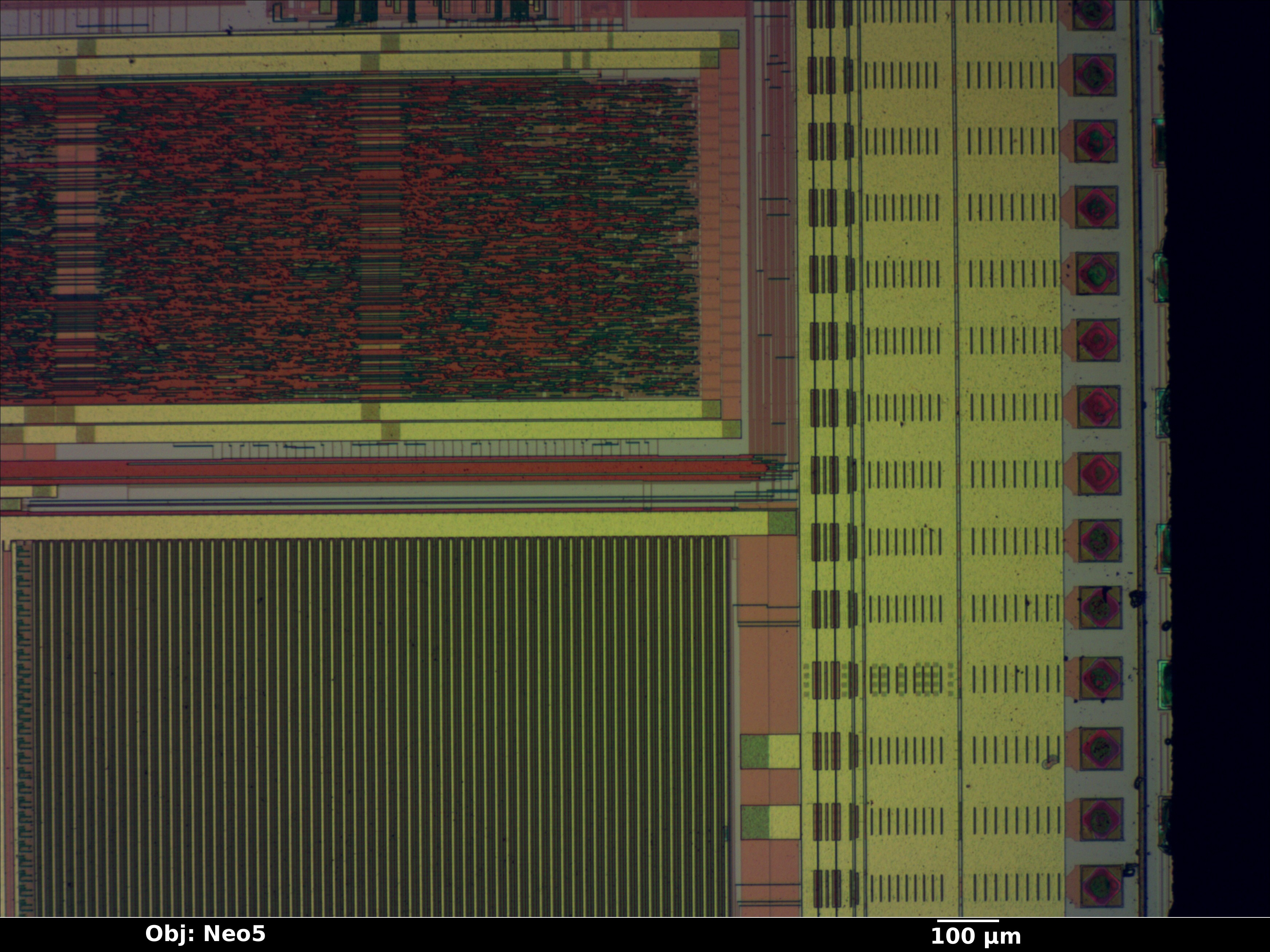 lne100tx_06_bf_neo5x_annotated.jpg