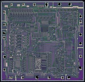 siliconpr0n.org_map_gi_ay-3-8500_single_gi_ay-3-8500_marmontel_mz_cfp10x-mrgb.thumb.jpg