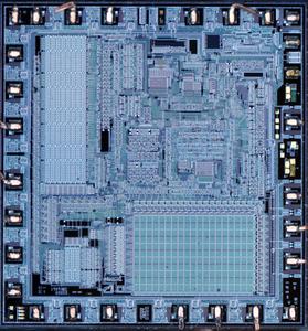 siliconpr0n.org_map_nec_d3053_single_nec_d3053_ryancor_mz_5x_overview.thumb.jpg