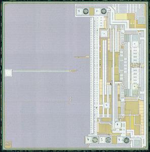 siliconpr0n.org_map_st_k410a_single_st_k410a_mcmaster_mz_mit20x.thumb.jpg