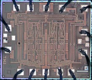 siliconpr0n.org_map_ussr_164tm2_single_ussr_164tm2_ryancor_mz_10x_overview.thumb.jpg