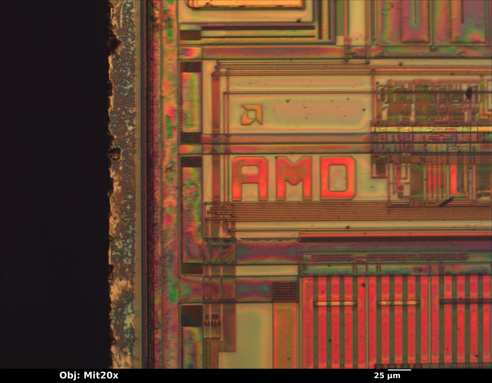 logo2_amd_mit20x.jpg