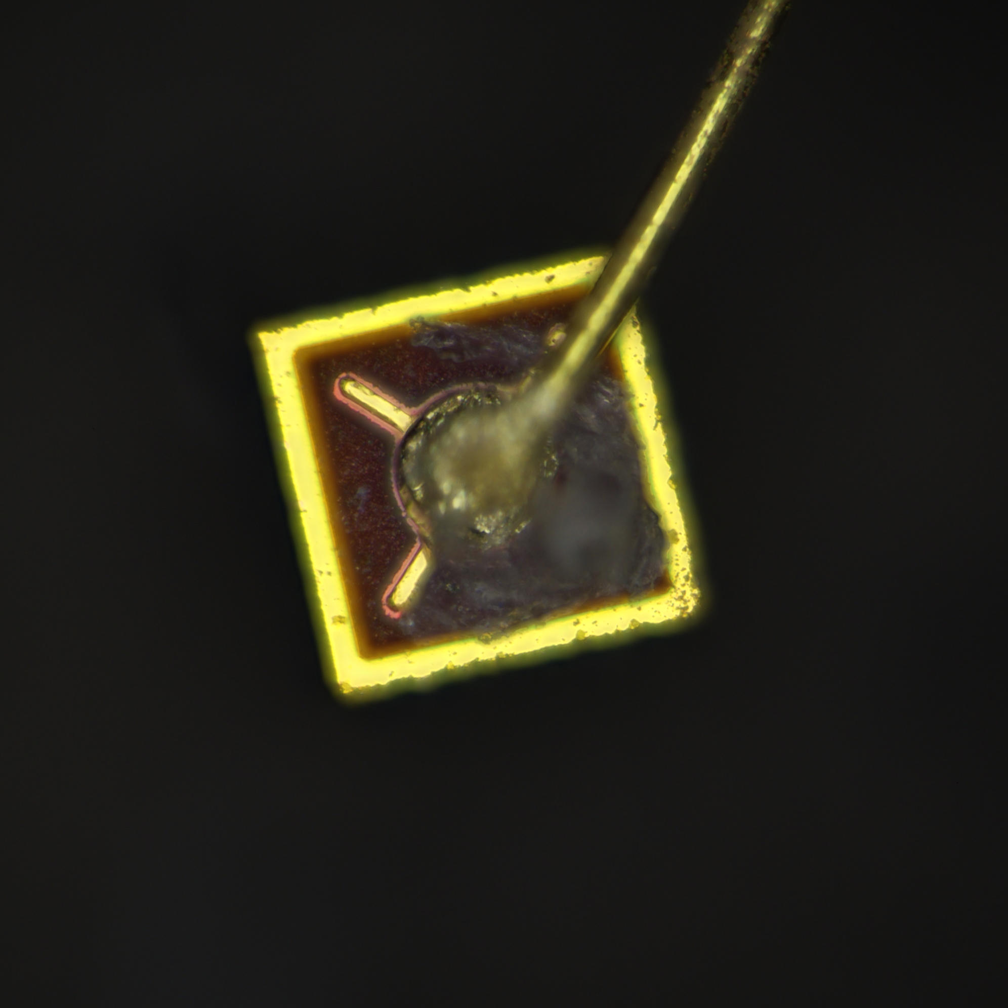 led_3.jpg