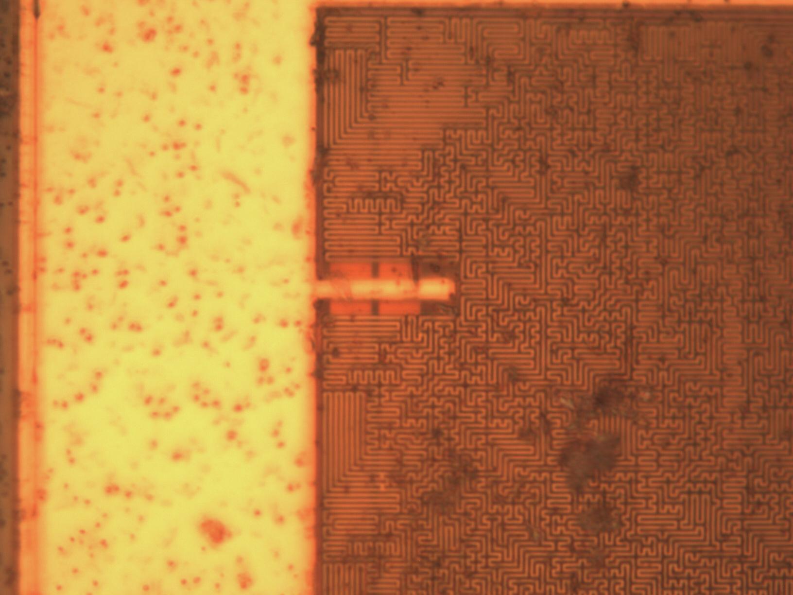 sample_mit100x.jpg