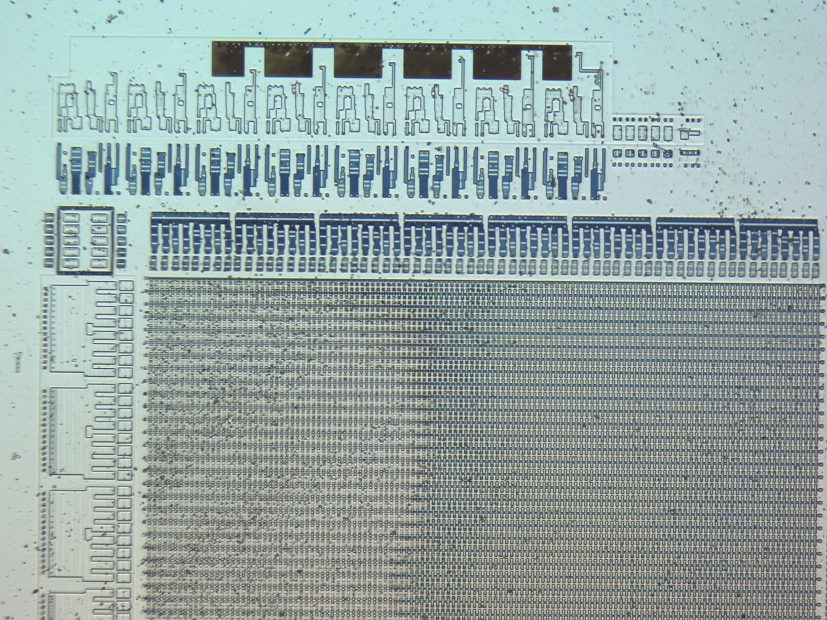 2020-08-12_07-09-09_6102_s1-1-etch-2h_mit20x.jpg