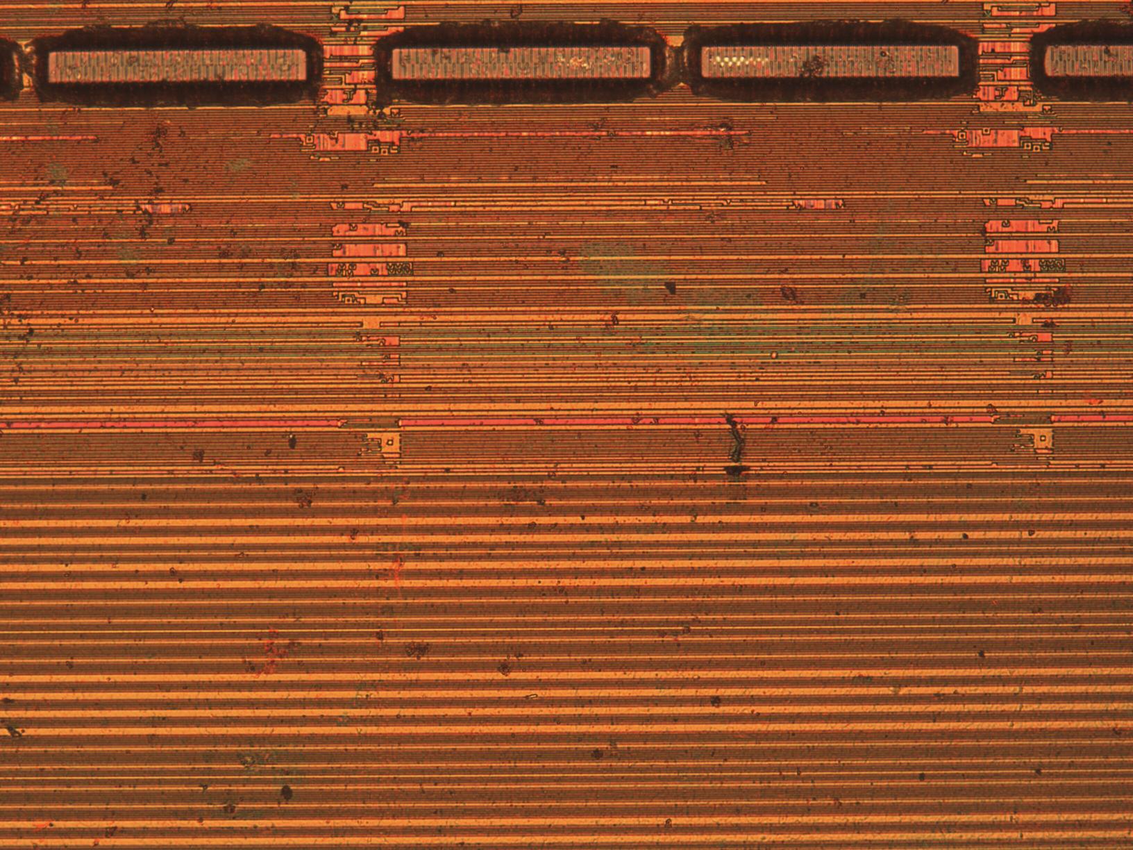 sample_mit20x.jpg