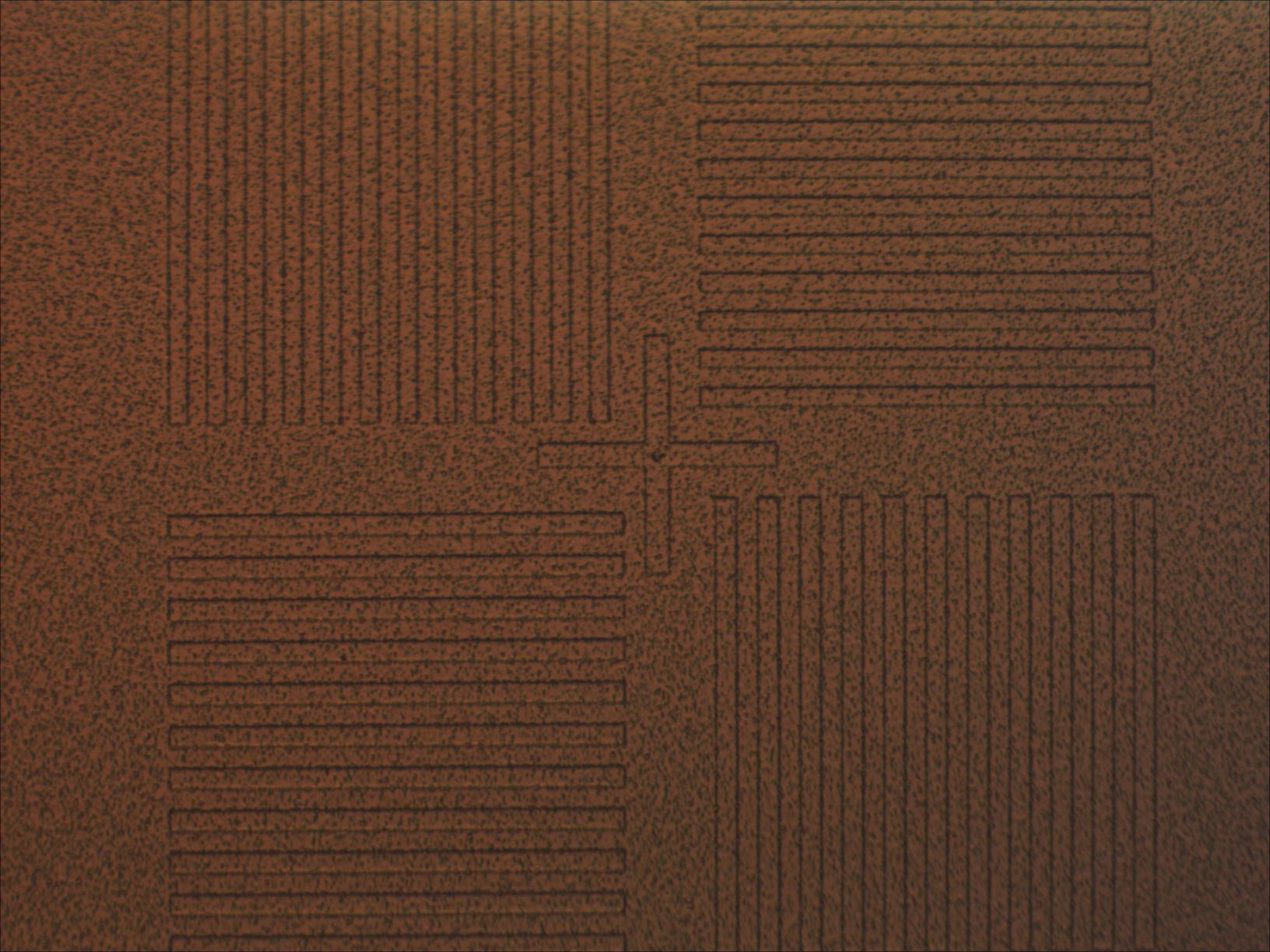 test2_2_mit20x.jpg