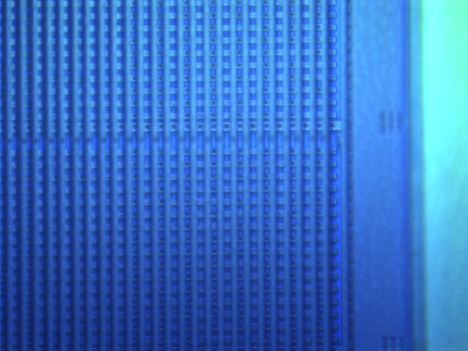 am486-100x-02.jpg