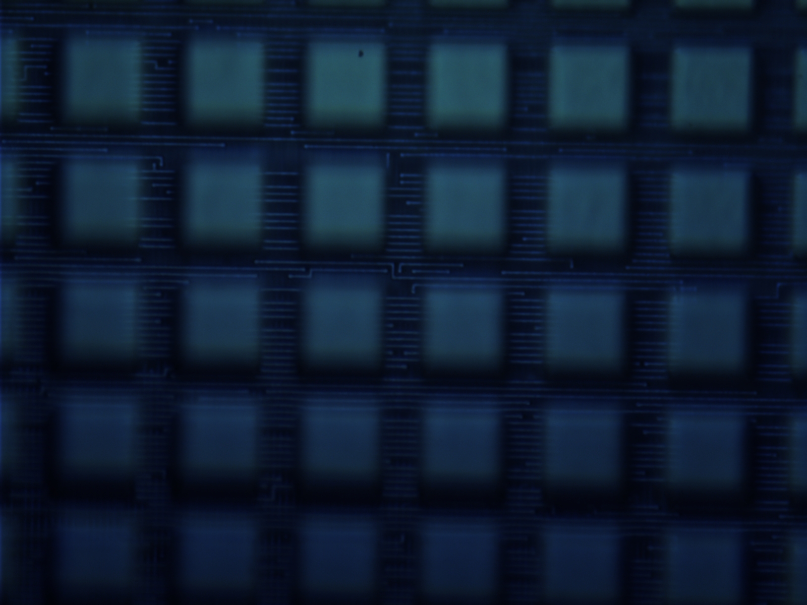 a338s0459-100x-01.jpg