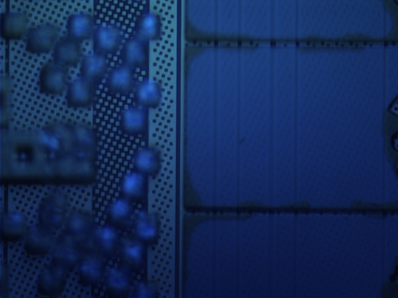 iphone-cpu-100x-05.jpg