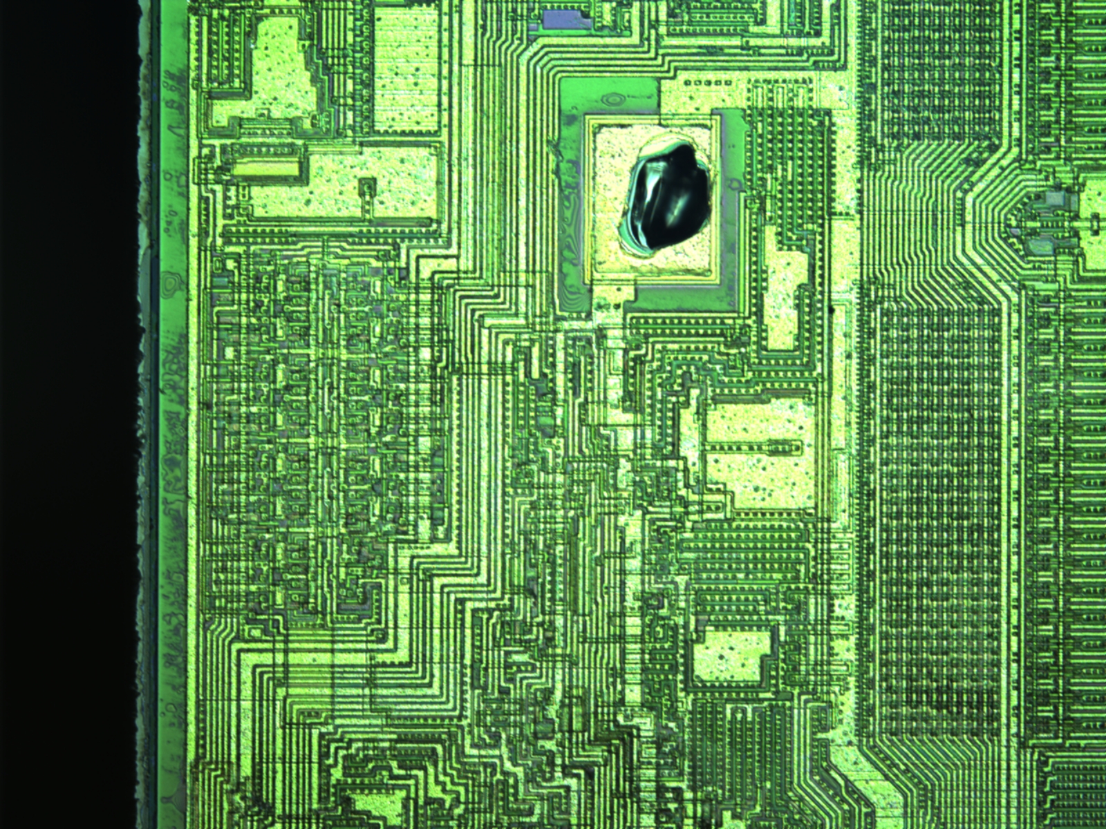 m5-10x-01.jpg