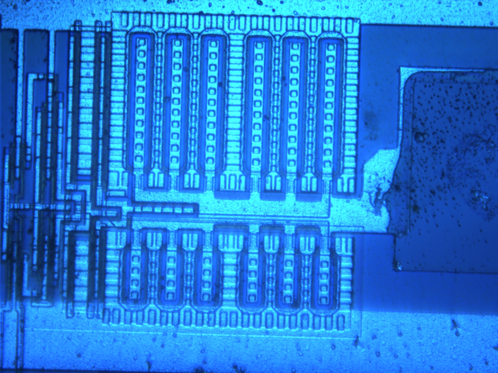 pcf8584-40x-02.jpg