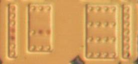 active_s2_7.jpg
