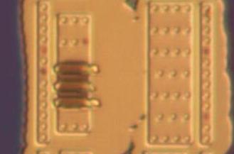 active_s2_22.jpg