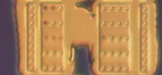 active_s2_14.jpg