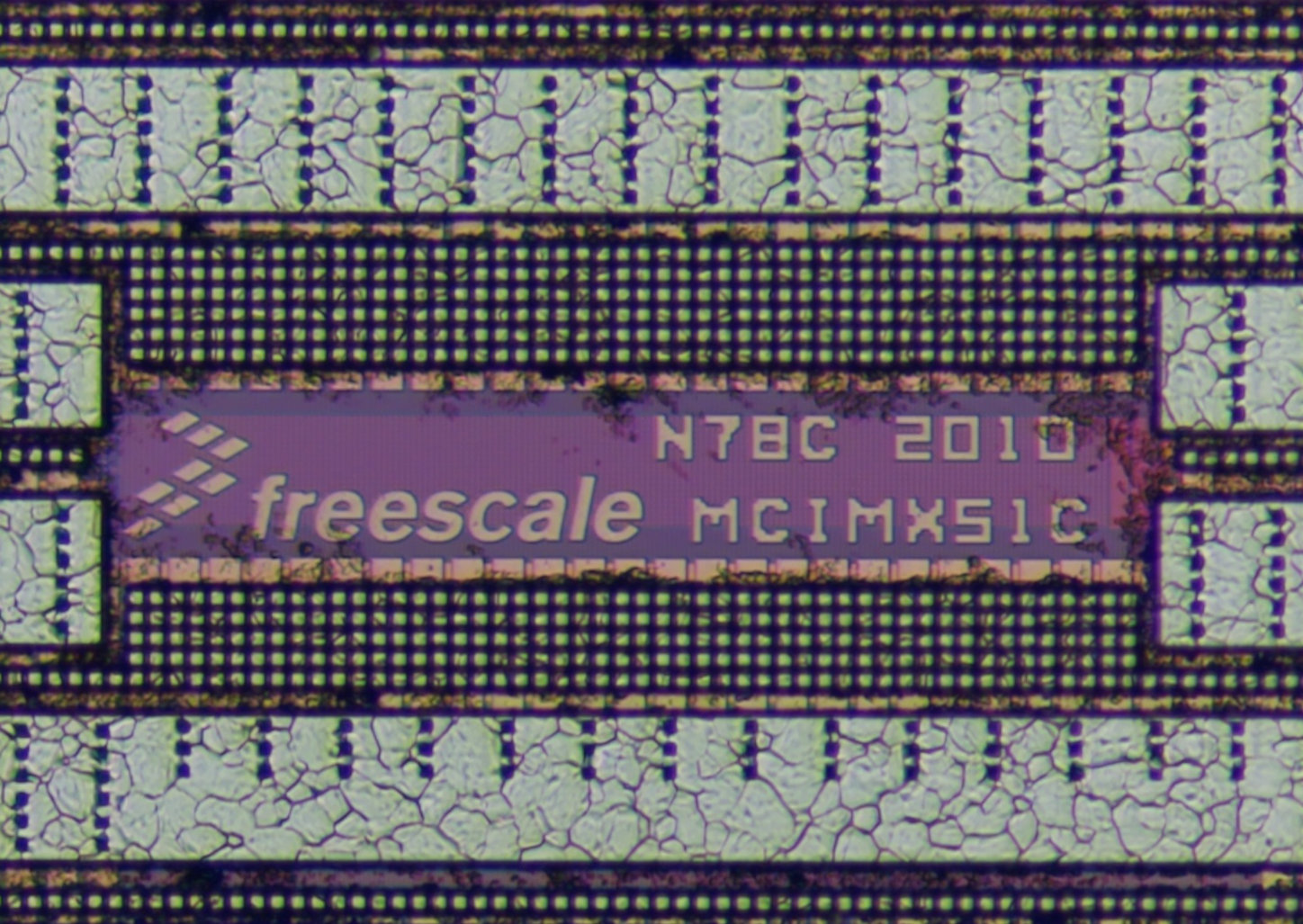 freescale_mcimx51c_mz_nikon20x_logo.jpg