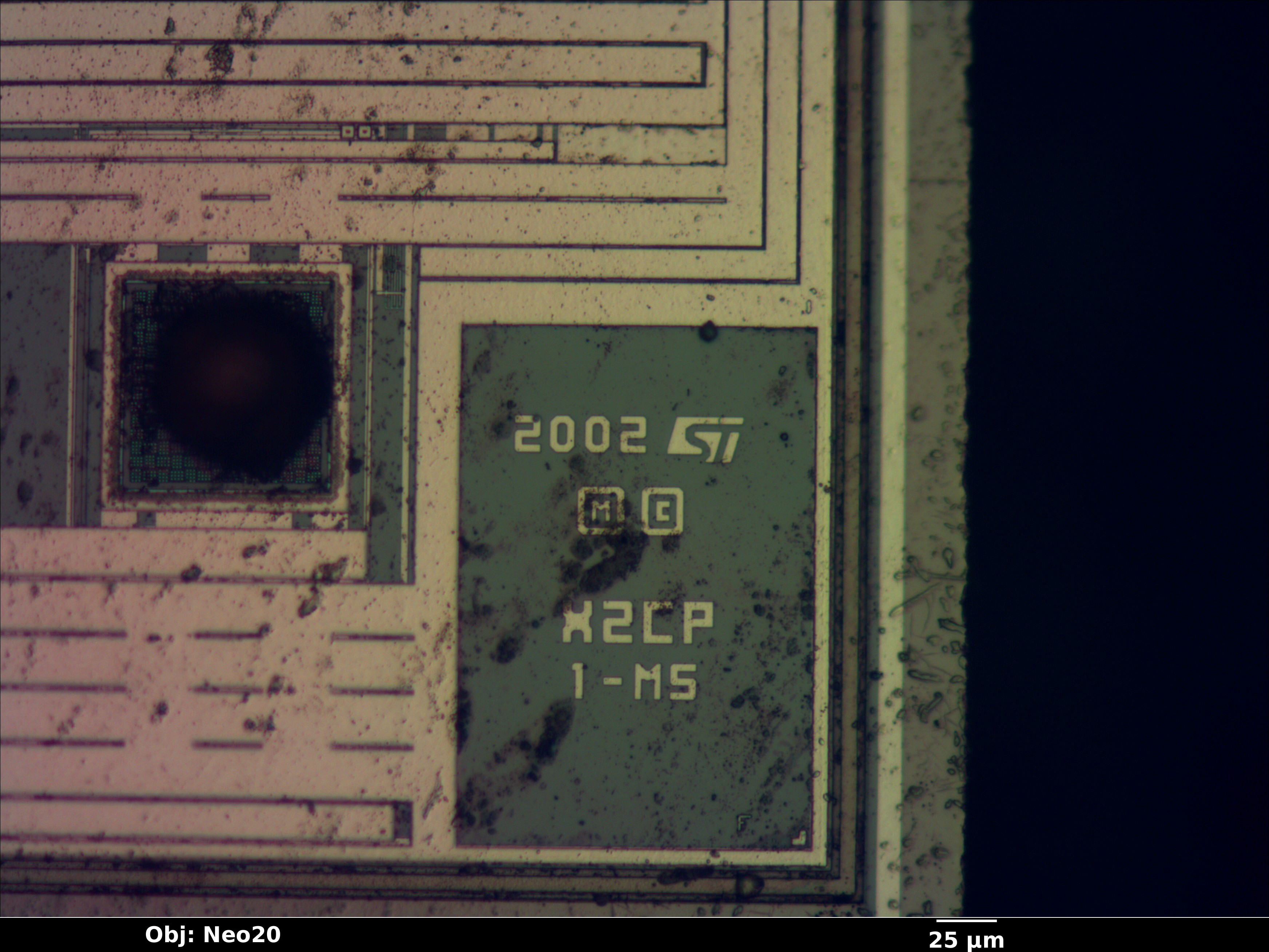 xcf02_04_bf_neo20x_annotated.jpg