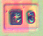 bjt_diode_1.png
